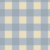 Gingham Ruiten Lichtblauw