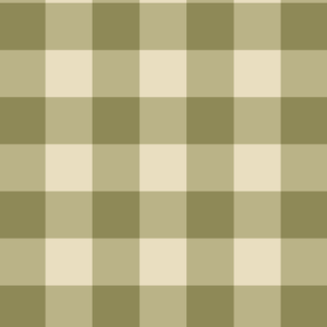 Behang Atelier Chien Gingham Ruiten Groen