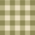 Gingham Ruiten Groen